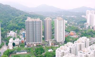 「樂嶺都匯」的三幢大樓（由左至右）為資助出售房屋「樂嶺軒」、「長者安居樂」住屋計劃項目「盛頤居」，以及出租屋邨「樂嶺樓」，項目基座為商場「嶺‧樂活」。